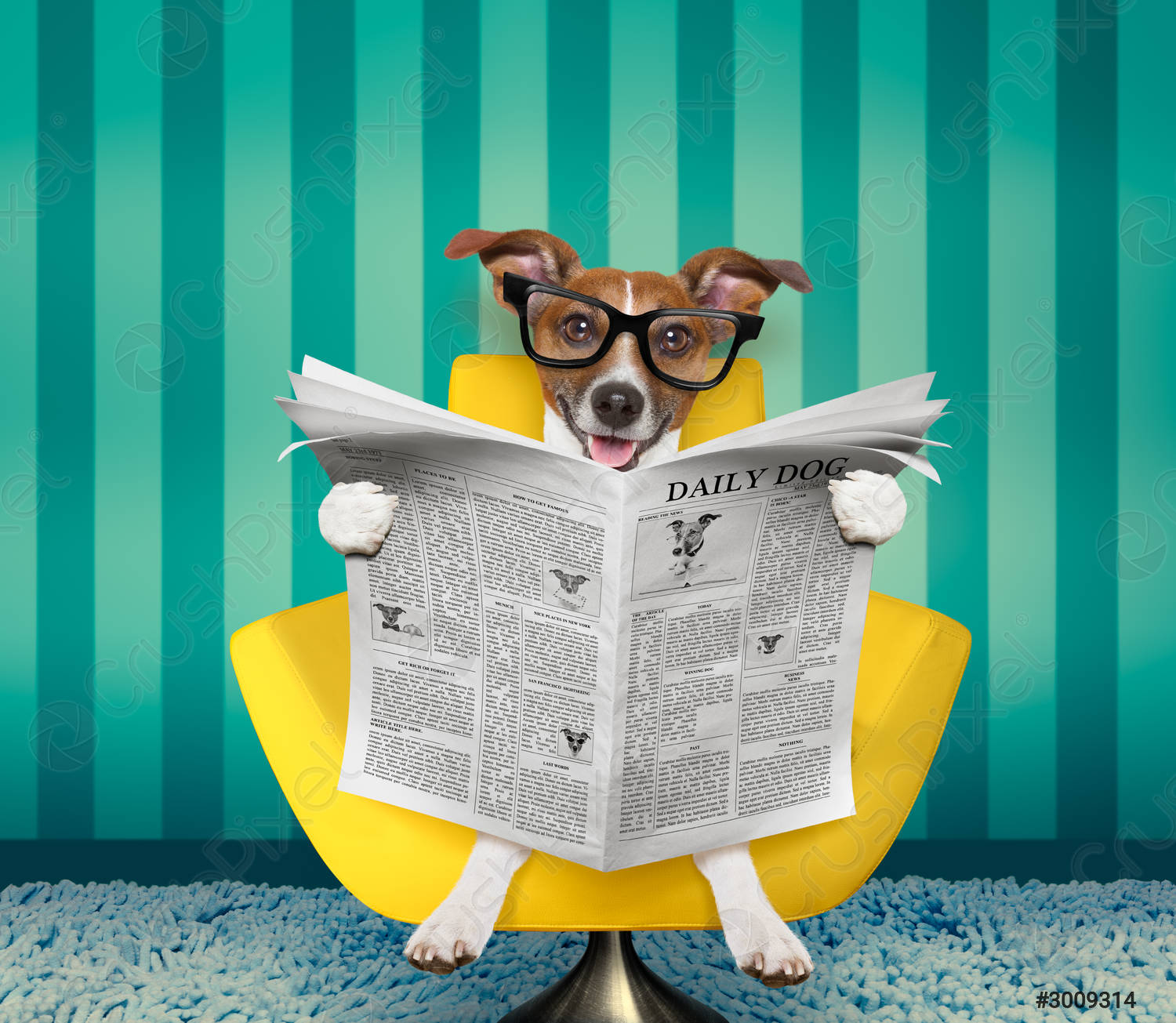 dog-reading-newspaper-home-3009314